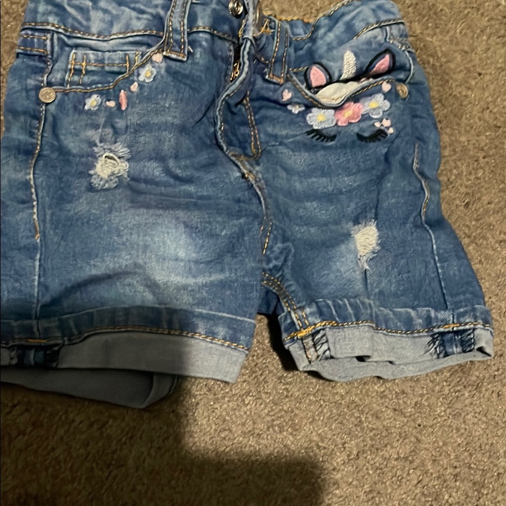 Embroidered Denim Shorts with Floral Accents